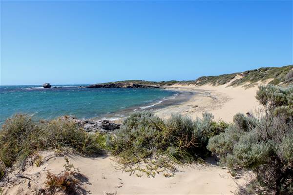 Cape Peron - Rockingham - from land (21/12/2015 - Credits: Chris Veerhuis)