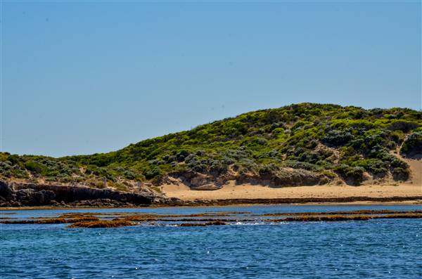 Cape Peron - Rockingham - from water (21/12/2015 - Credits: Chris Veerhuis)