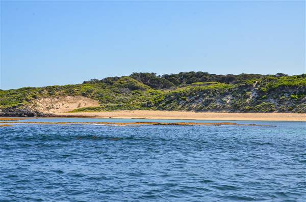 Garden Island - Collins Point - from water (22/12/2015 - Credits: Chris Veerhuis)