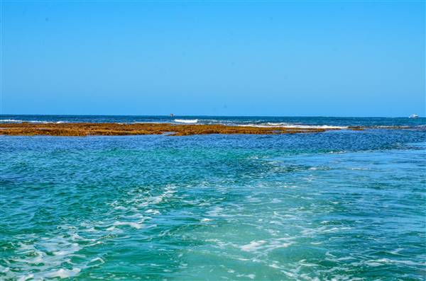 Garden Island - Point Atwick - North and South Bay from Water (22/12/2015 - Credits: Chris Veerhuis)