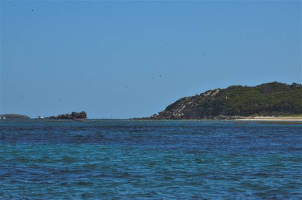 Garden Island - Calista Point - from water (22/12/2015 - Credits: Chris Veerhuis)