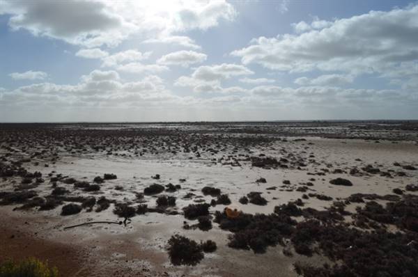 Lake King (18/03/2016 - Credits: Mike Montague)