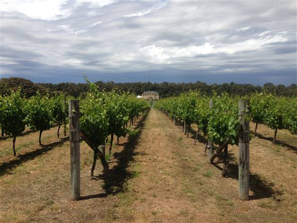 Fraser Gallop Estate (15/07/2016 - Credits: Tourism WA)