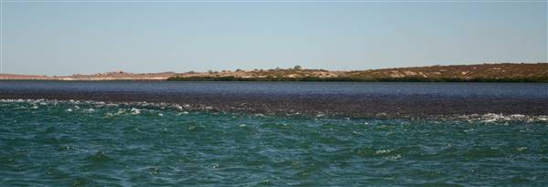 Cygnet Bay area - Sunday Islands (12/09/2016 - Credits: Chris Verhuis)