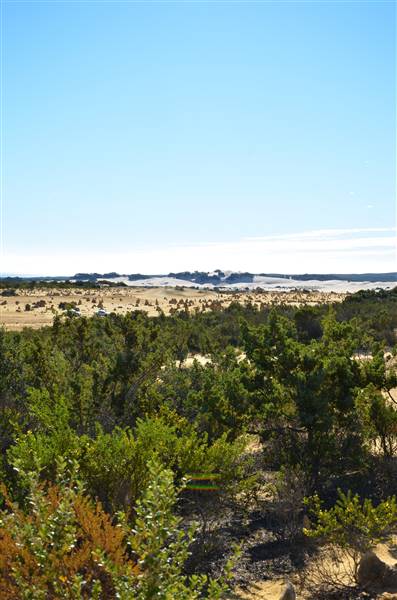 Pinnacles - Nambung National Park (27/06/2016 - Credits: Chris Veerhuis)