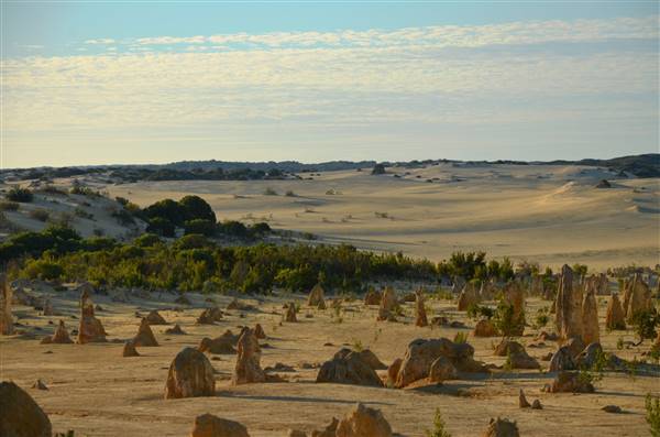 Pinnacles - Nambung National Park (27/06/2016 - Credits: Chris Veerhuis)