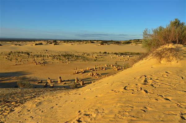 Pinnacles - Nambung National Park (27/06/2016 - Credits: Chris Veerhuis)
