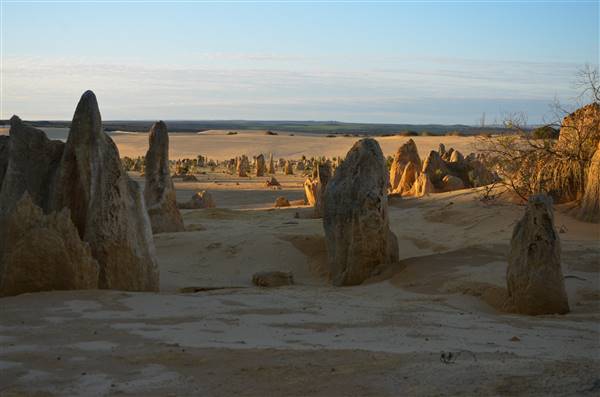 Pinnacles - Nambung National Park (27/06/2016 - Credits: Chris Veerhuis)
