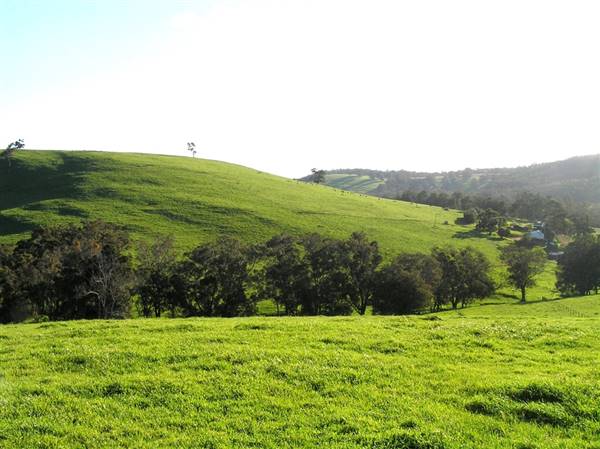 Nannup - Xmas Brook Farm (3/05/2017 - Credits: Kerrie Dunnet)