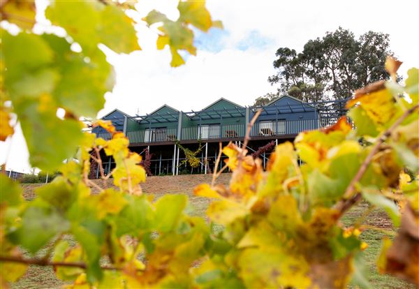 Little Hill Farm Bridgetown (10/12/2019 - Credits: Adam Roebuck)