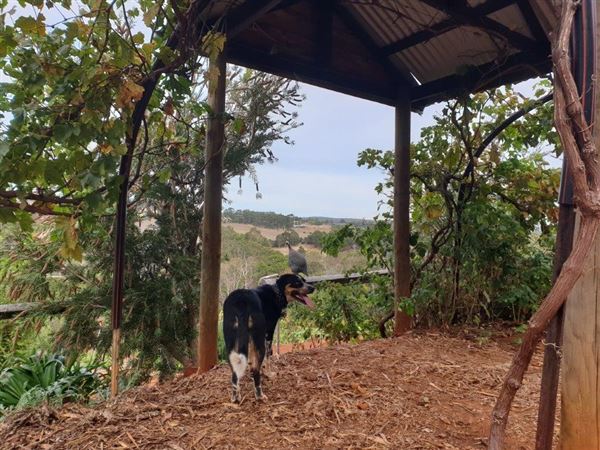 Little Hill Farm Bridgetown (1/04/2019 - Credits: Adam Roebuck)