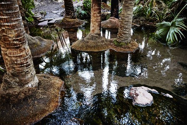 El Questro - Zebedee Springs (29/06/2017 - Credits: Tourism Western Australia)