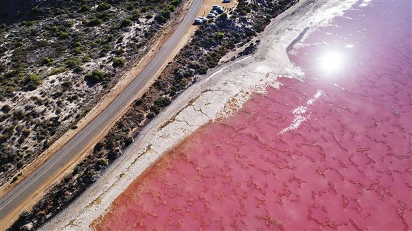 Pink Lake - Hutt Lagoon (1/11/2020 - Credits: Tourism Western Australia)
