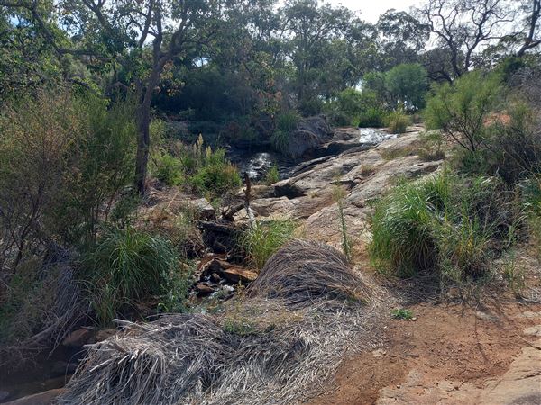 Lesmurdie Falls (2/07/2022 - Credits: Rachael Hawkins)