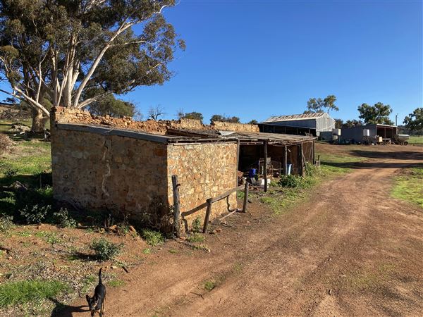 Tachbrook Outbuildings - stone stable, old fibro house - Photos of stone stables and fibro abandoned house (18/07/2022 - Credits: Russell Prowse)