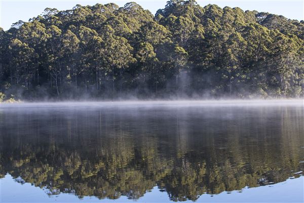 RAC Karri Valley Resort (11/10/2022 - Credits: Tourism Western Australia)