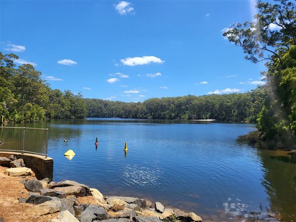 Pemberton - Big Brook Dam (9/03/2023)