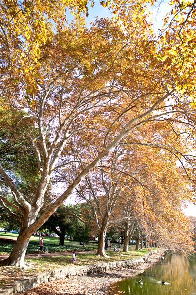 Hyde Park (8/09/2023 - Credits: Tourism Western Australia)
