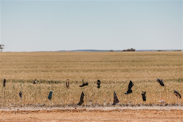 Wheatbelt Region (17/10/2023 - Credits: Tourism Western Australia)