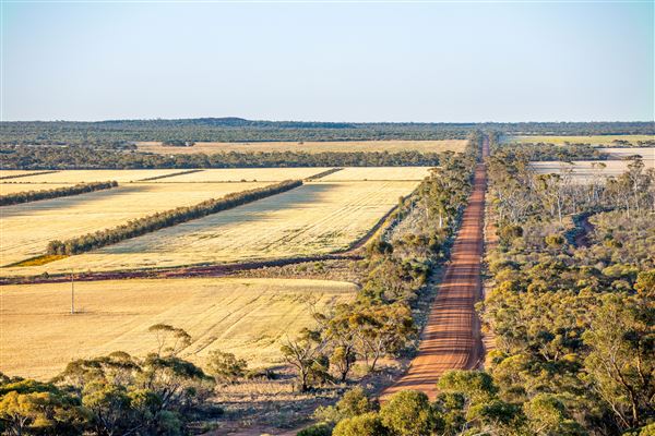 Wheatbelt Region (19/10/2023 - Credits: Tourism Western Australia)