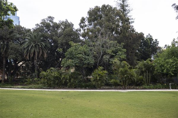 Supreme Court Gardens (18/10/2023 - Credits: Shea Walsh)