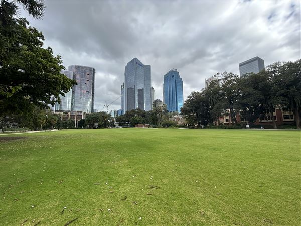 Supreme Court Gardens (18/10/2023 - Credits: Shea Walsh)