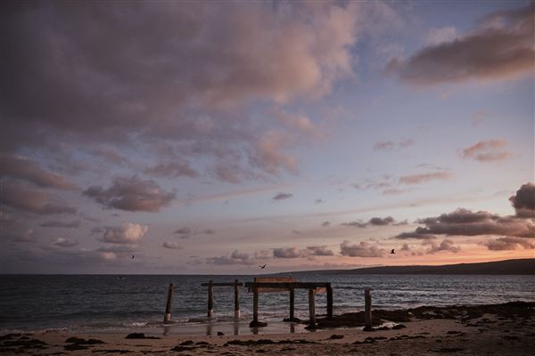 Hamelin Bay (8/01/2024 - Credits: Tourism Western Australia)