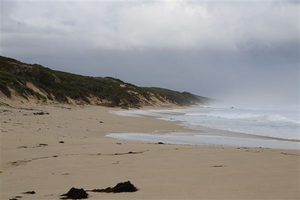 Gracetown (6/06/2023 - Credits: Aidan O'Bryan)
