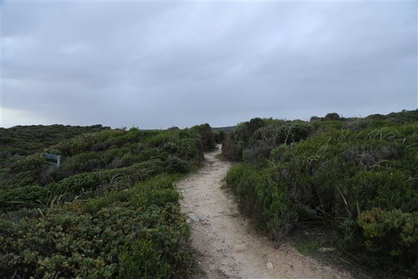 Margaret River - Prevelly (6/06/2023 - Credits: Aidan O'Bryan)