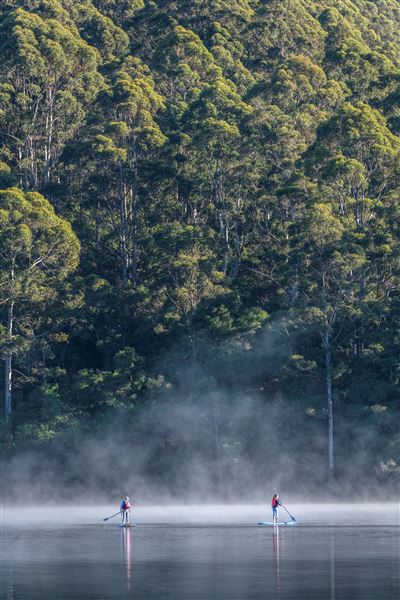 RAC Karri Valley Resort (17/04/2024 - Credits: Tourism Western Australia)