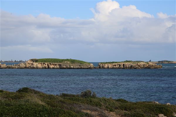 Cape Peron - Overview (6/06/2023 - Credits: Aidan O'Bryan)