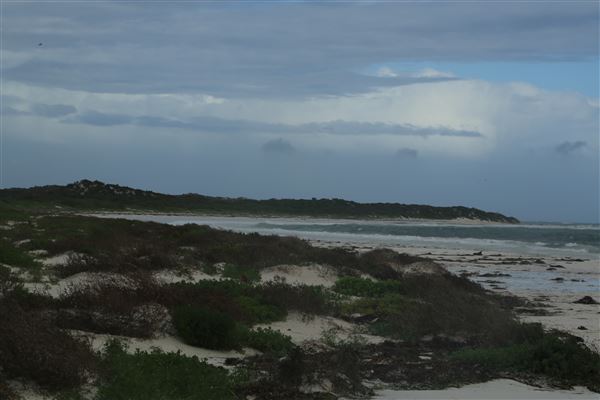 Hangover Bay (6/06/2023 - Credits: Aidan O'Bryan)