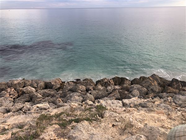 Claytons Beach (6/06/2023 - Credits: Aidan O'Bryan)