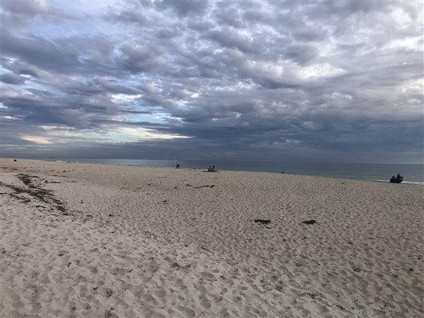 Claytons Beach (6/06/2023 - Credits: Aidan O'Bryan)