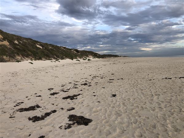 Claytons Beach (6/06/2023 - Credits: Aidan O'Bryan)