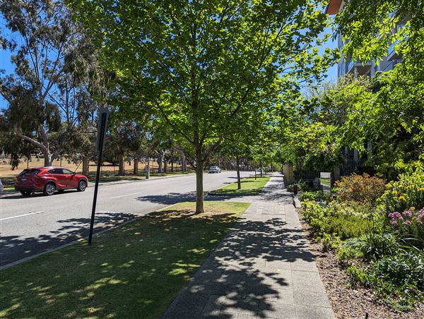 East Perth- Streets (4/10/2023 - Credits: Shea Walsh)
