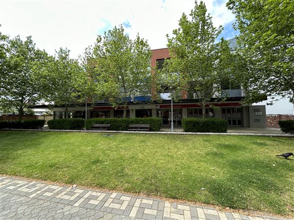 Northbridge precinct (29/09/2023 - Credits: Shea Walsh)