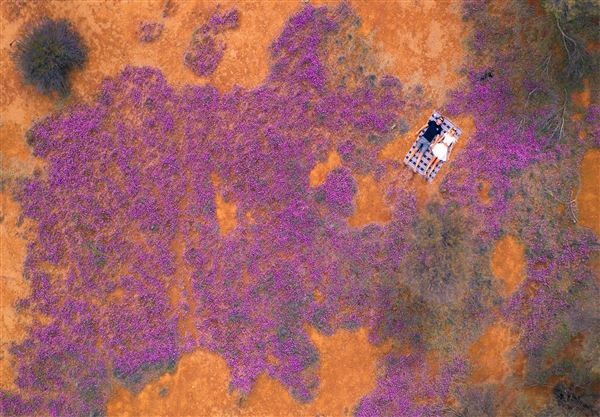 Wheatbelt Region (26/07/2024 - Credits: Tourism Western Australia)