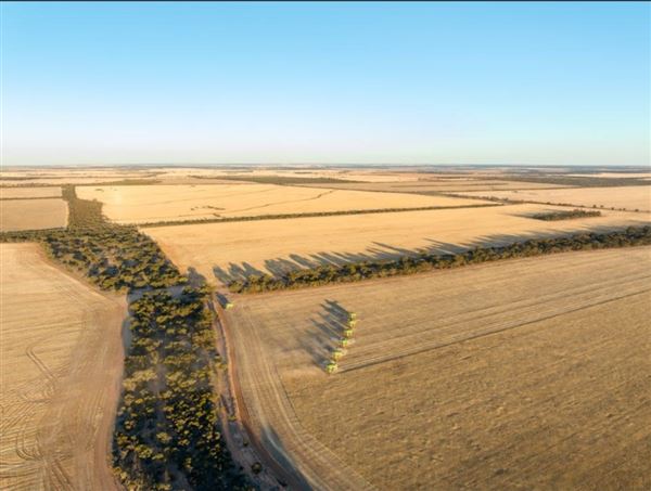 Wheatbelt Region (20/09/2024)