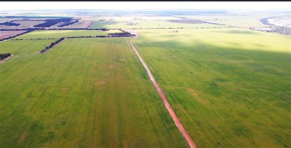 Wheatbelt Region (20/09/2024)