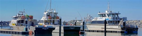 Augusta - Boat Harbour (13/11/2024)