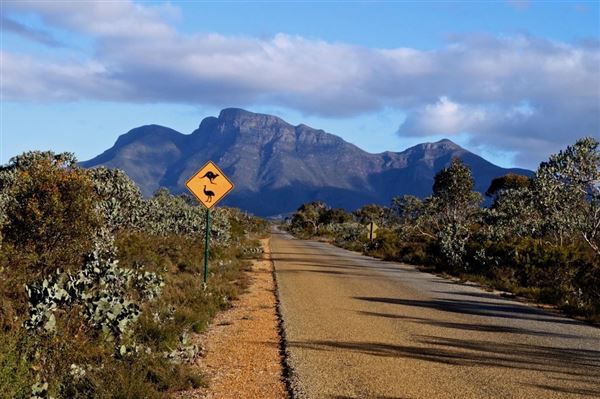 Stirling Range National Park - Bluff Knoll (15/11/2024)