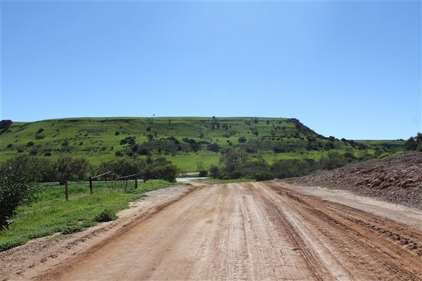 Chapman Valley (25/11/2024)