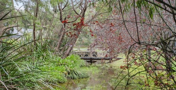 Margaret River (14/01/2025)