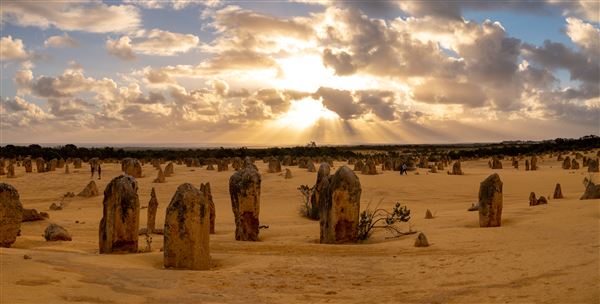Pinnacles - Nambung National Park (17/01/2025 - Credits: Tourism Western Australia)