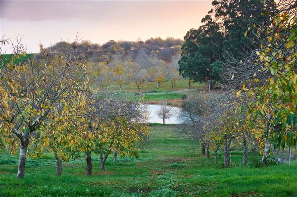 Nannup (13/02/2025)