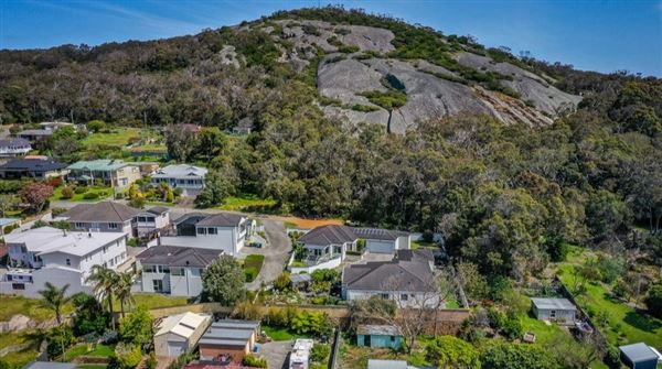Albany Suburbia (26/02/2025)
