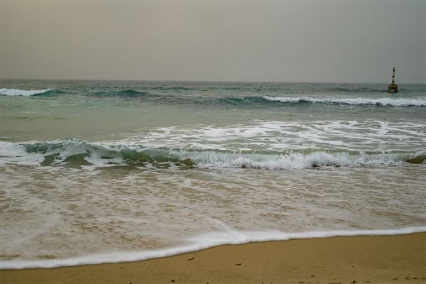 Cottesloe Beach (20/05/2025 - Credits: Xander Kabat)