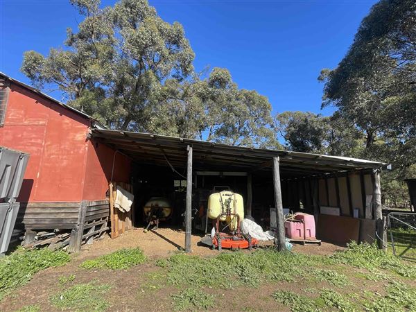 Shearing Shed @ Duke's Vineyard (28/06/2025 - Credits: Sarah Date)