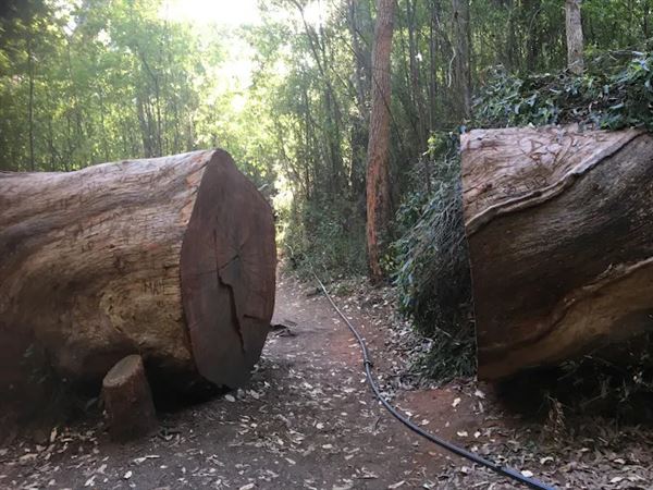 Porongorup National Park (4/07/2025)
